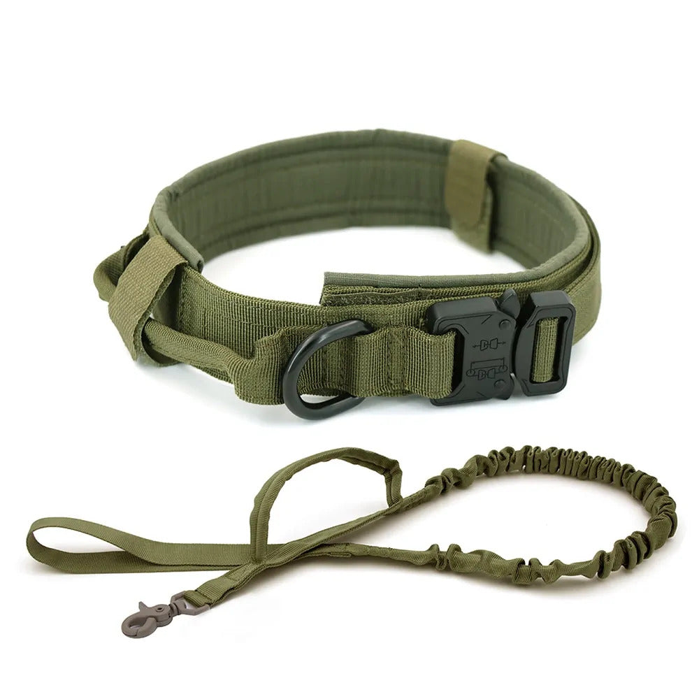 Dog Collar Dog Collar